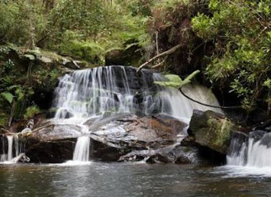 madagascar/andasibe/attraction/andasibe-mantadia-national-park