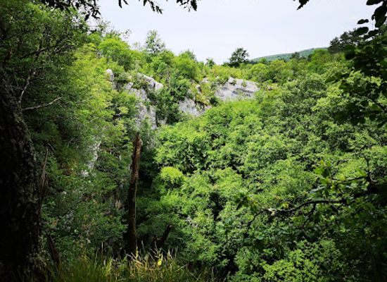 slovenia/coastal-karst/attraction/rodiska-jama