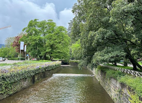 germany/baden/attraction/michaelsteg
