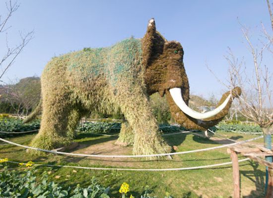 vietnam/sapa/attraction/elephant