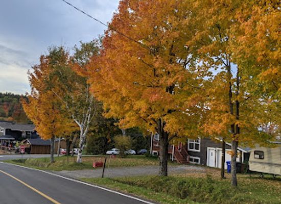 canada/eastern-townships/attraction/parc-harold-f-baldwin-mont-pinacle