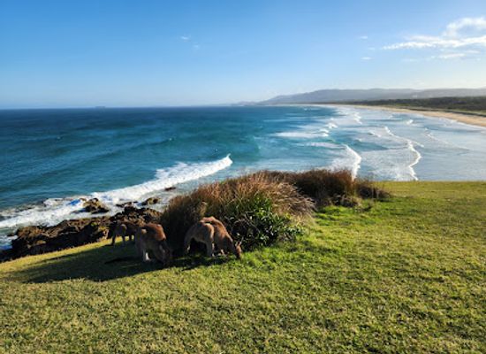 australia/mid-north-coast/attraction/look-at-me-now-headland-walk