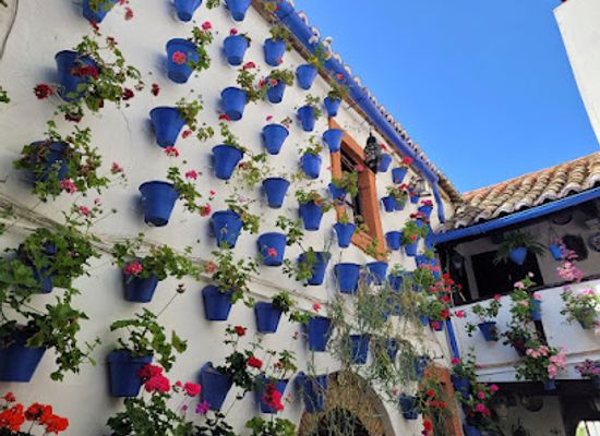 spain/cordoba/san-basilio/attraction/cordoba-patios