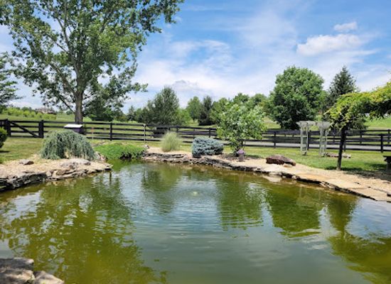 virginia/harrisonburg/attraction/white-oak-lavender-farm-the-purple-wolf-vineyard
