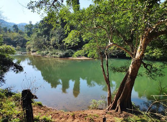 laos/golden-triangle/attraction/the-gibbon-experience