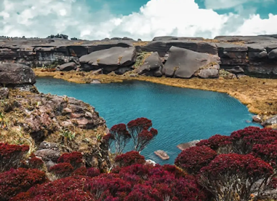 guyana/kamarang/attraction/gladys-lake-mount-roraima-guyana