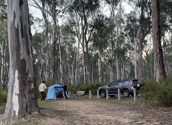 australia/goulburn-valley/attraction/edward-river-bridge-picnic-area
