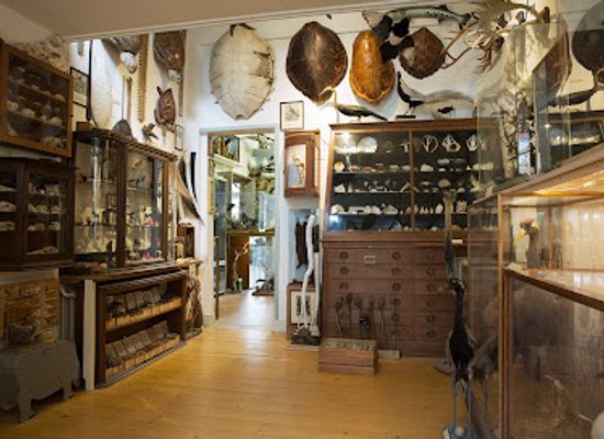netherlands/groningen/attraction/natuurmuseum
