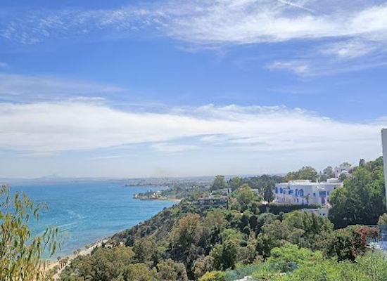 tunisia/the-cap-bon-peninsula/attraction/sidi-bou-said
