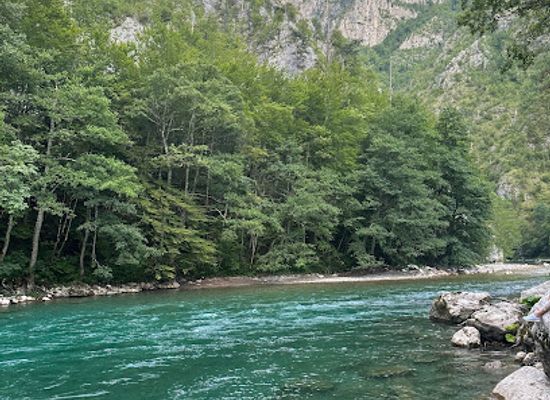 montenegro/durmitor-national-park/attraction/riviere-tara