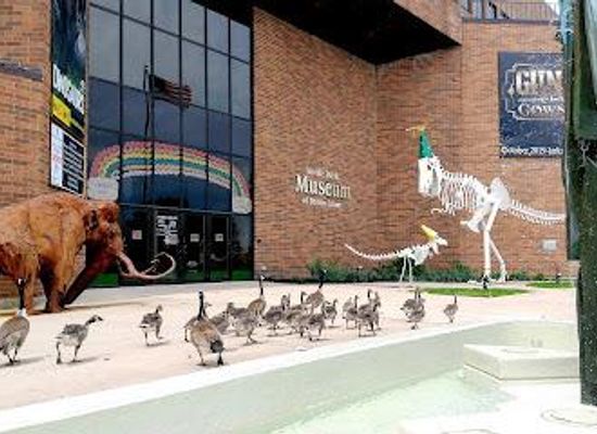 wisconsin/appleton/attraction/neville-public-museum