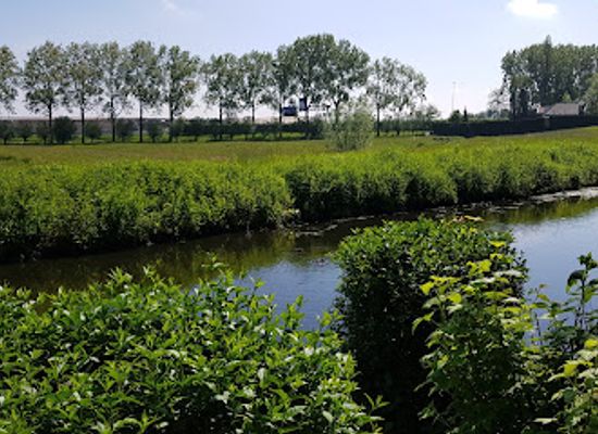 netherlands/delfland/attraction/de-tempel-estate