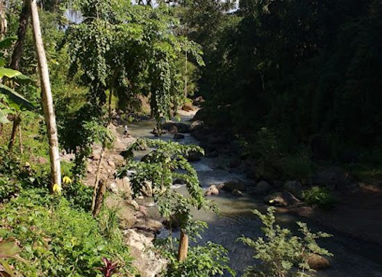nicaragua/nueva-segovia-highlands/attraction/cascada-santa-emilia
