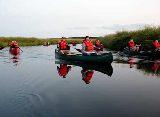maine/york-county/attraction/scarborough-marsh-audubon-center