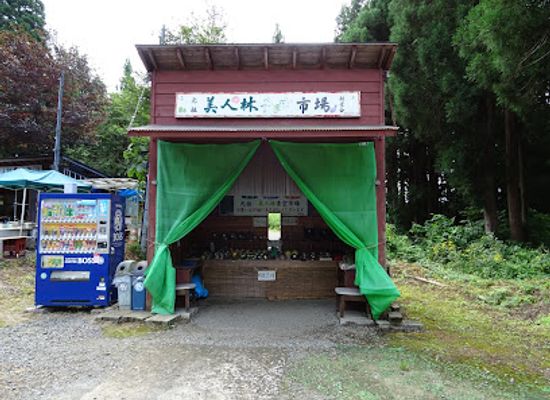 japan/echigo/attraction/bijin-bayashi-forest