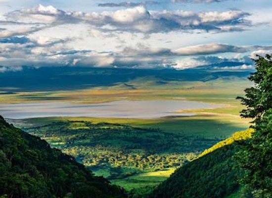 tanzania/arusha/attraction/safaris-africa-united