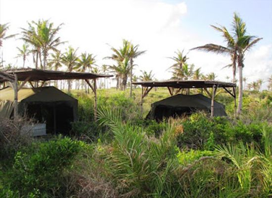 mozambique/tofo-beach/attraction/coconut-country-birding