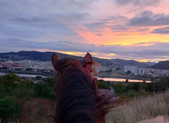 romania/ramnicu-valcea/attraction/dream-horse-ride