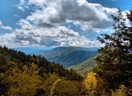 tennessee/appalachian-mountains/attraction/appalachian-trail-to-indian-gap