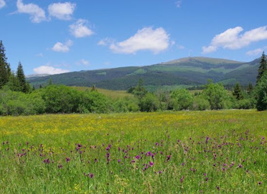 slovakia/slovak-ore-mountains/attraction/chamkova-stodola