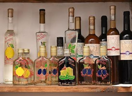 serbia/novi-sad/attraction/wine-cellar-probus