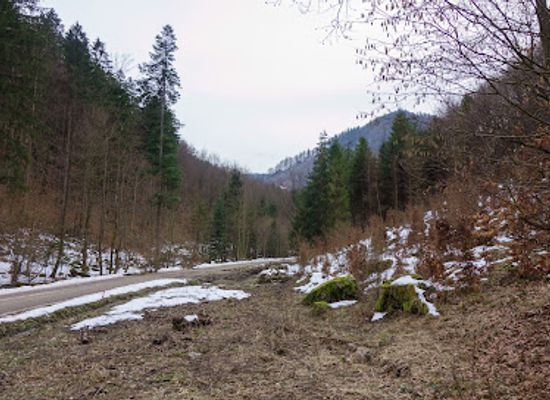 slovakia/dolina/attraction/turanska-dolina-vstup