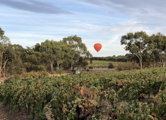 australia/barossa-valley/attraction/schubert-estate