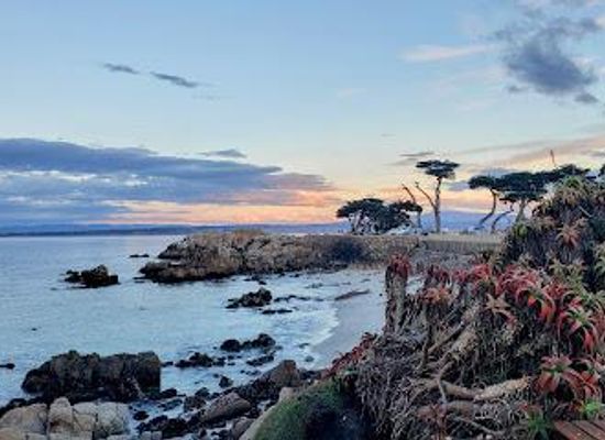 california/salinas-valley/attraction/perkins-park