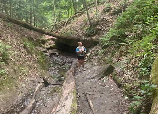 indiana/turkey-run-state-park/attraction/falls-canyon