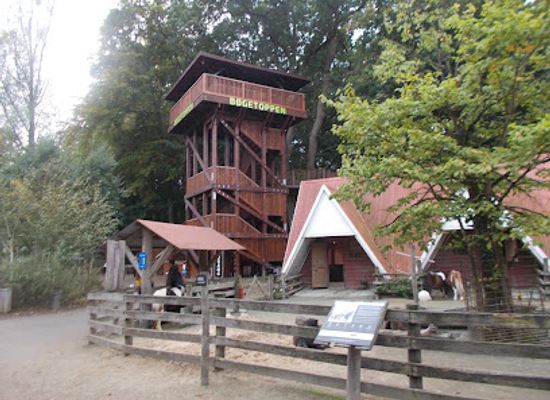 denmark/odense/attraction/bogetoppen-i-odense-zoo