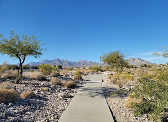 nevada/red-rock-canyon-national-conservation-area/attraction/cottonwood-canyon