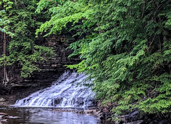 ohio/northeast-ohio/attraction/sulphur-springs-picnic-area