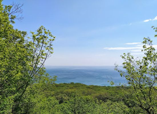 bulgaria/golden-sands/attraction/panorama-zelen-marshrut-ekopateka-aladzha