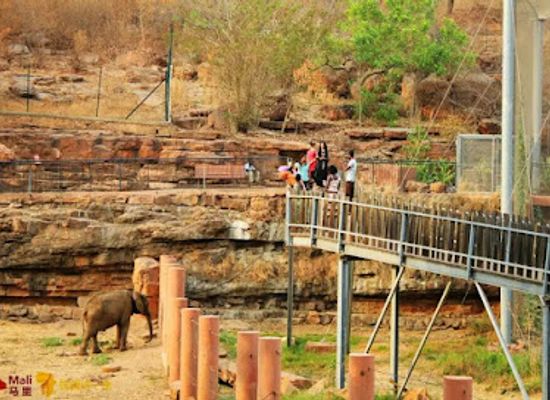 mali/gao/attraction/zoo-national-du-mali