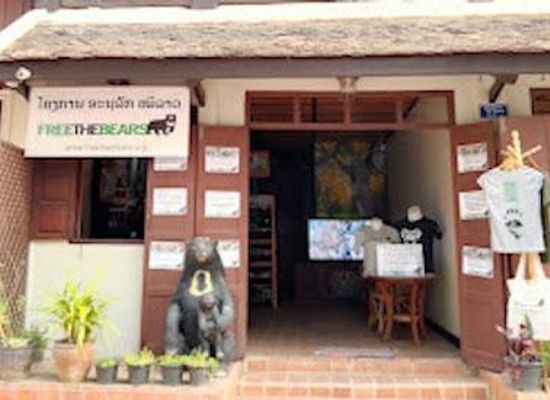 laos/luang-prabang/attraction/free-the-bears-luang-prabang