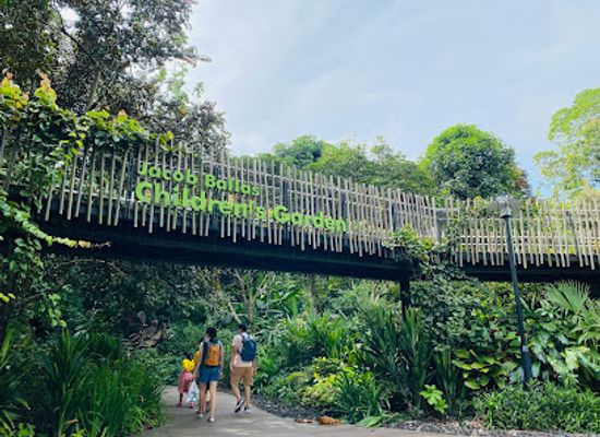 singapore/novena/attraction/jacob-ballas-children-s-garden
