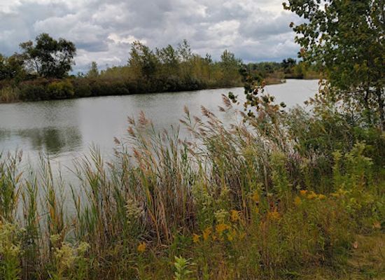 ohio/northwest-ohio/attraction/sylvan-prairie-park