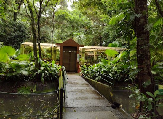 brazil/recife/boa-viagem/attraction/botanical-garden-of-recife