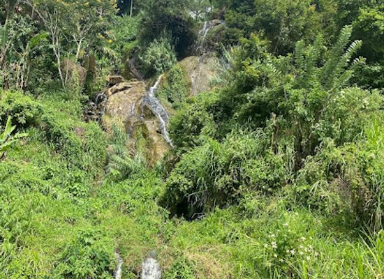 sri-lanka/moneragala-district/attraction/gotuwala-ella