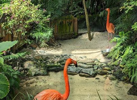 florida/key-west/attraction/the-key-west-butterfly-and-nature-conservatory