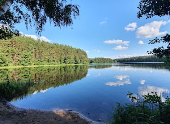 lithuania/aukstaitija-national-park/attraction/sciurio-ragas-nature-walk