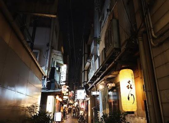japan/osaka/attraction/hozenji-yokocho