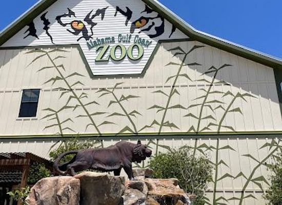 alabama/gulf-shores/attraction/alabama-gulf-coast-zoo