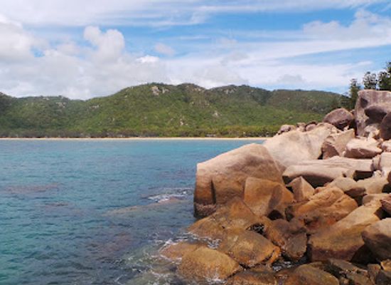 australia/magnetic-island/attraction/rock-wallabies
