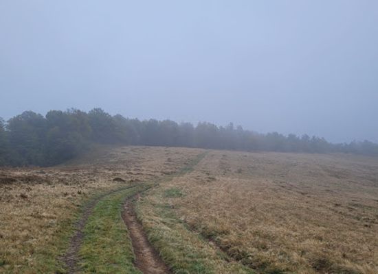 ukraine/dragobrat/attraction/Polonina-Zasovi