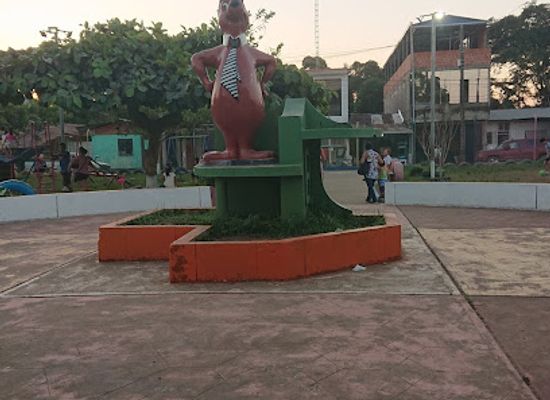 peru/tambopata-national-reserve/attraction/colores-park