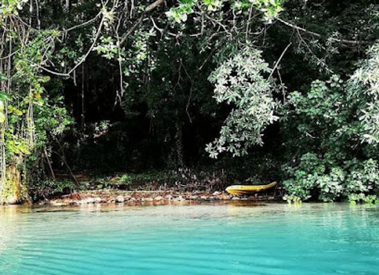 jamaica/port-antonio-area/attraction/blue-lagoon-tour-portland