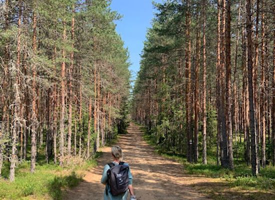 estonia/harjumaa/attraction/loodusgiid-marilin-pehka