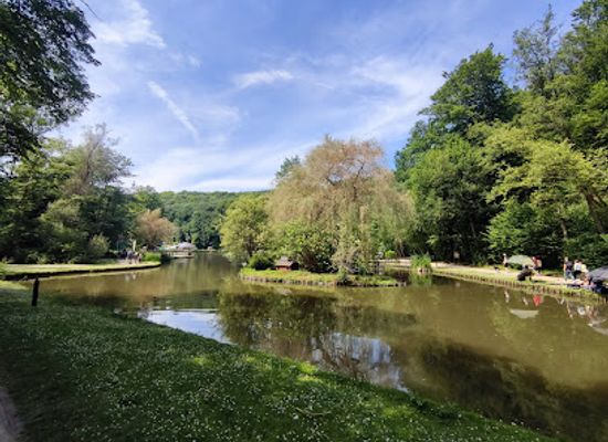 belgium/pays-de-herve/attraction/reves-woods