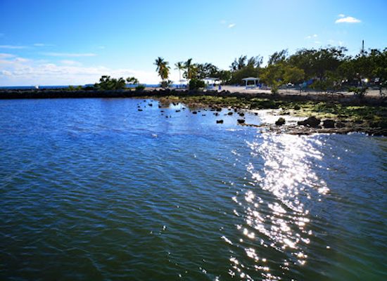 florida/islamorada/attraction/harry-harris-beach-view-point